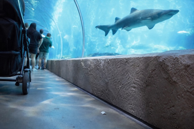 Kuala Lumpur: City Tour with Aquaria, Bird & Butterfly Park