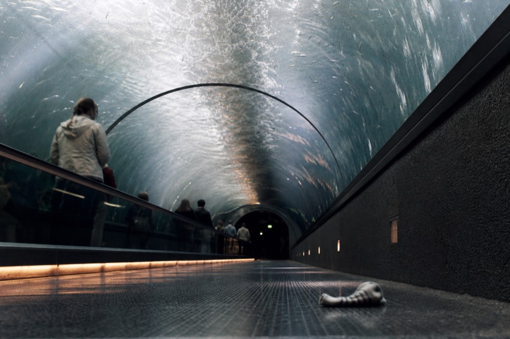 Long underwater tunnel with a moving walkway and marine life overhead, no text, no logos, no people
