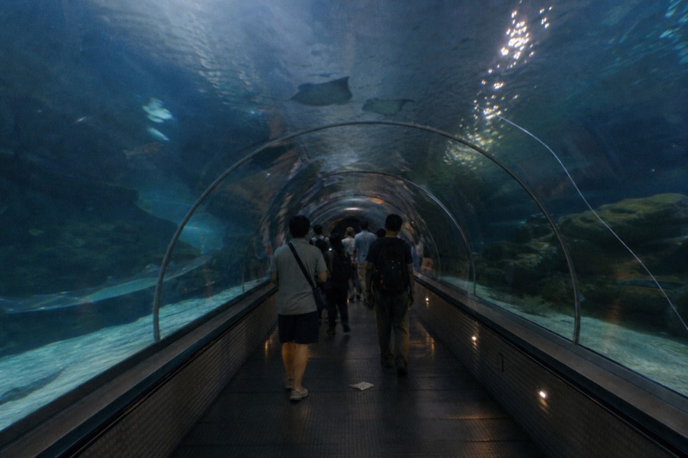 Aquaria KLCC underwater tunnel with visitors on the travelator, no text, no logos, no people