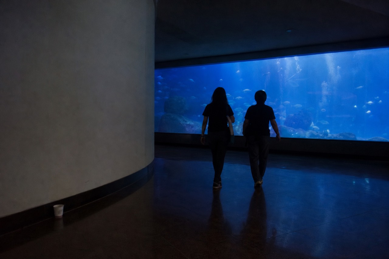 Visitors walking through a dim aquarium gallery past a large lit tank, no text, no logos, no people