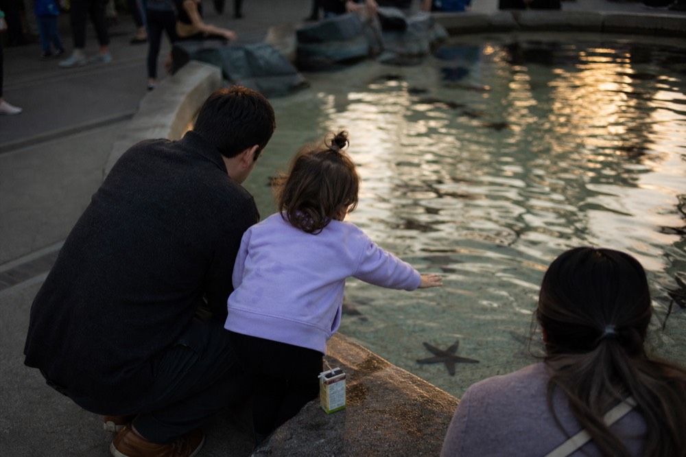 Family watching fish at Aquaria KLCC touch pool, no text, no logos, no people