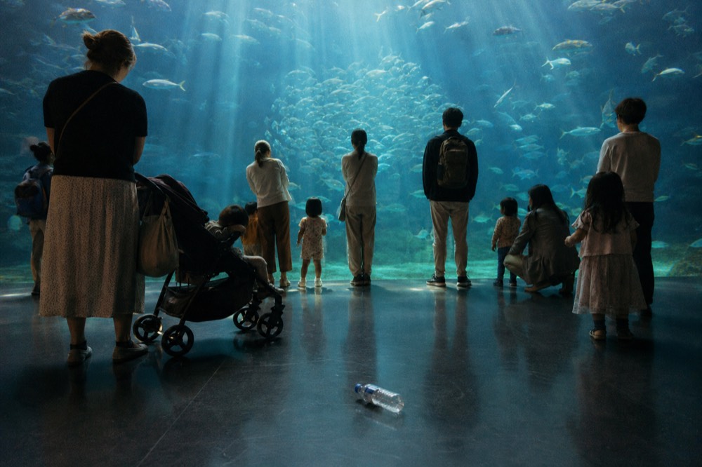 Families watching fish in a large dimly lit tank, no text, no logos, no people