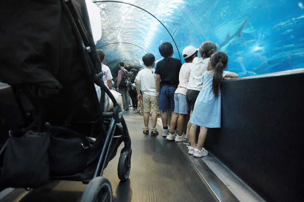 Children watching fish through a large aquarium tunnel, no text, no logos, no people