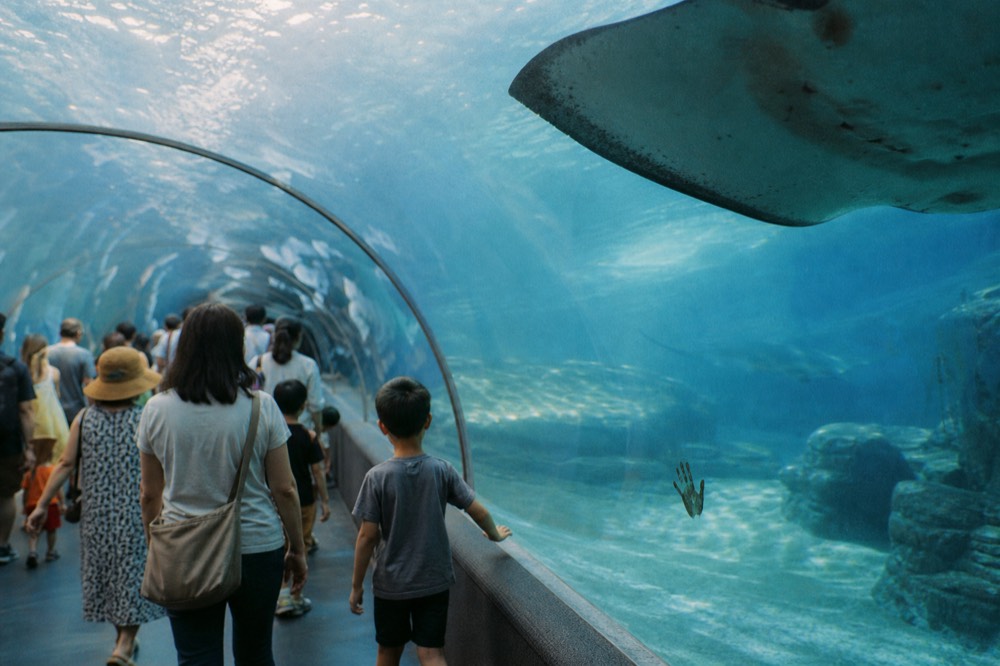 Visitors walking through a transparent underwater tunnel with sharks and rays swimming overhead, no text, no logos, no people