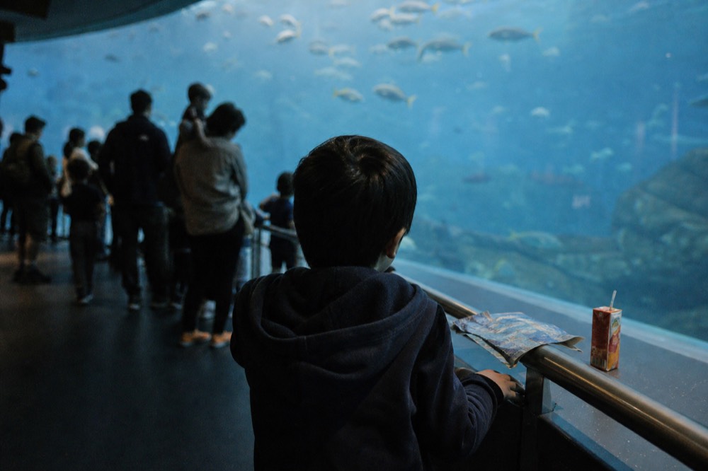 Families watching fish through a curved glass tank panel, no text, no logos, no people