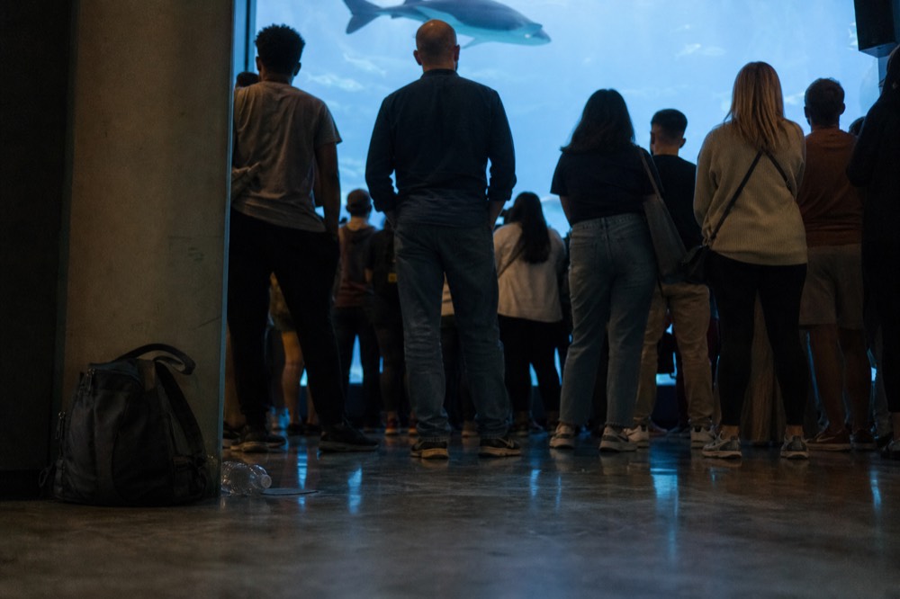 Crowd of visitors gathered around a large shark tank viewing window, no text, no logos, no people