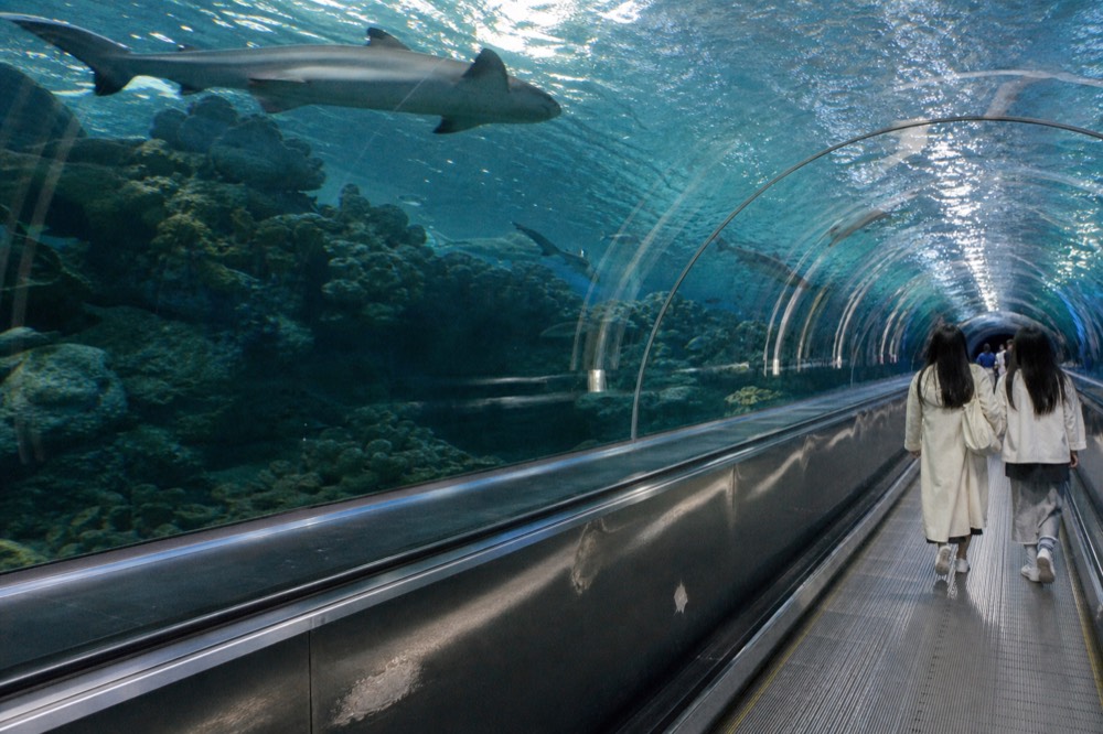 A long glass underwater tunnel with a moving walkway and sharks swimming overhead, no text, no logos, no people