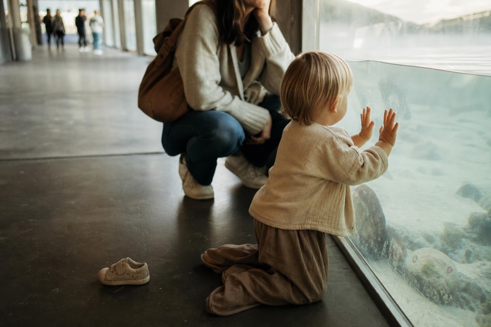 A young child pressing hands against a low glass tank while a parent watches, no text, no logos, no people