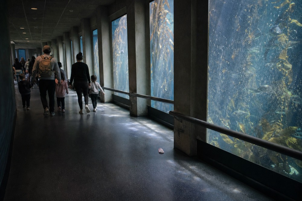 Families with children walking through an aquarium corridor past large tanks, no text, no logos, no people
