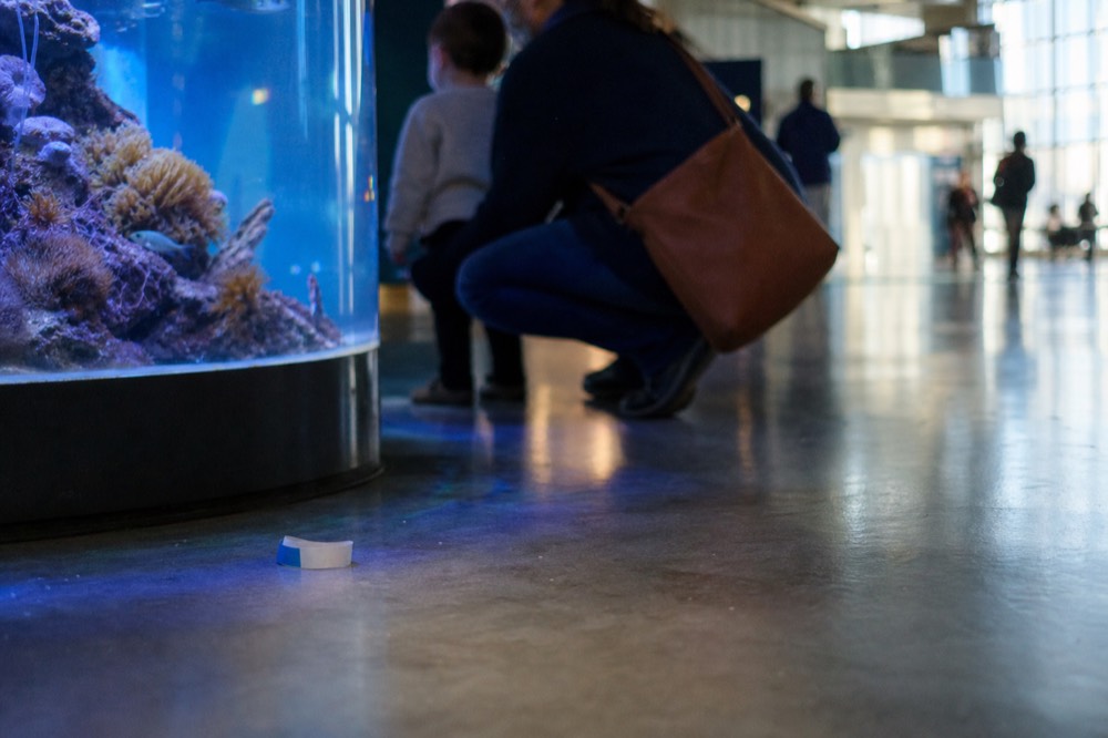Parent and young child looking at a small tank exhibit inside an aquarium, no text, no logos, no people