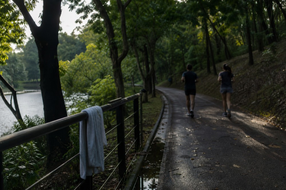 Joggers on a rubberised track circling the lake at KLCC Park in morning light, no text, no logos, no people