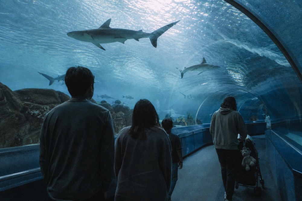 A family looking at a large aquarium tunnel with sharks swimming overhead, no text, no logos, no people