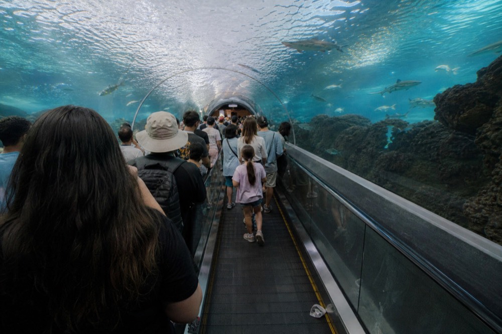 A long underwater tunnel with a moving walkway and fish overhead, no text, no logos, no people